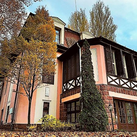 Party Villa Holiday Rent Balatonföldvár Esterno foto
