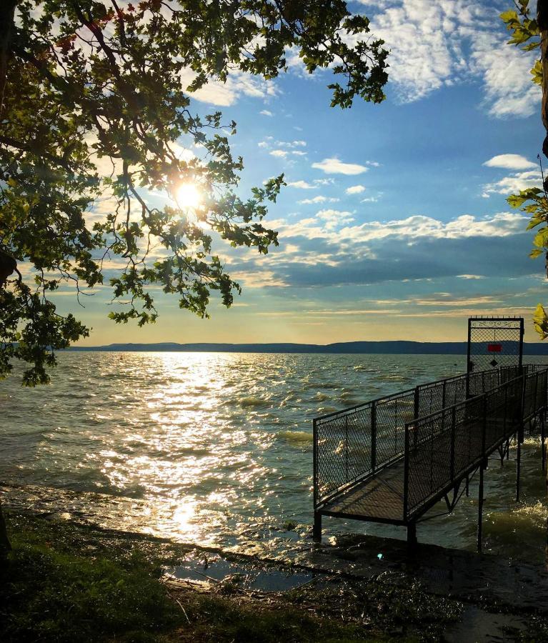 Party Villa Holiday Rent Balatonföldvár Esterno foto