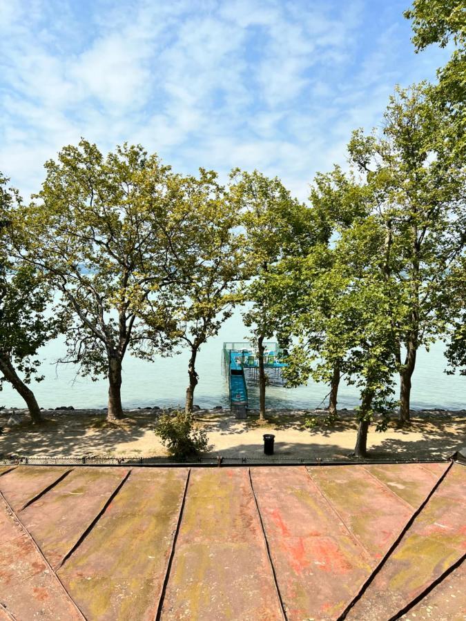 Party Villa Holiday Rent Balatonföldvár Esterno foto