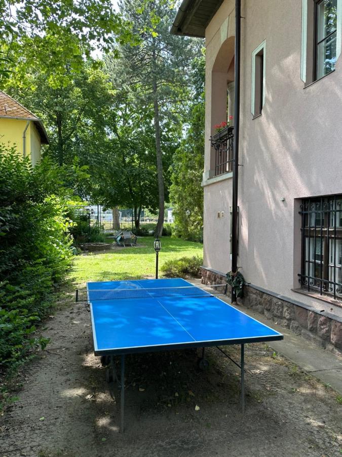 Party Villa Holiday Rent Balatonföldvár Esterno foto