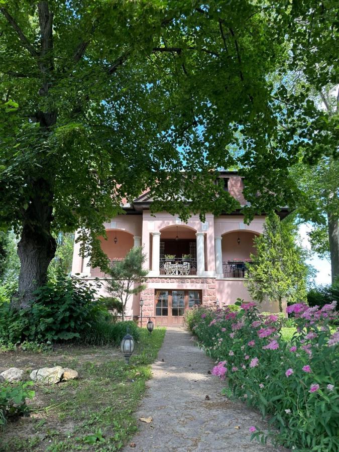 Party Villa Holiday Rent Balatonföldvár Esterno foto
